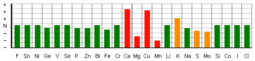 Cellular Mineral Ratios 3 - heel spurs